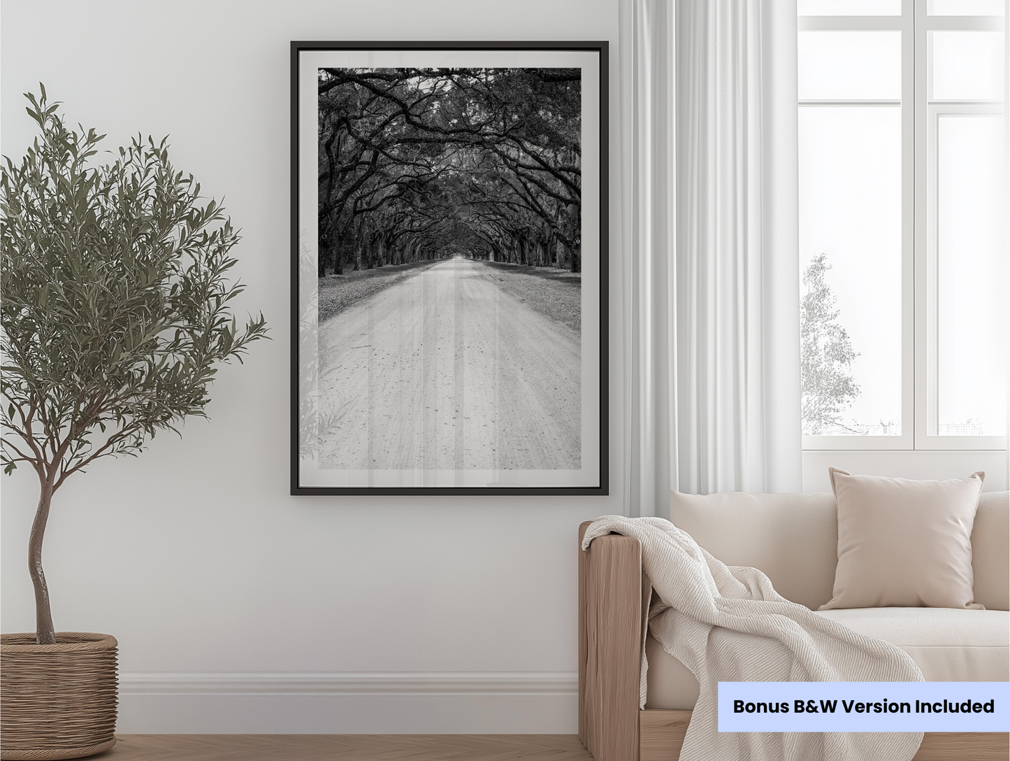 Wormsloe | Digital Download