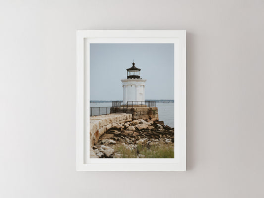 Bug Light | Digital Download