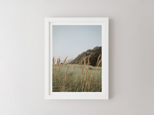 Dune Grass | Digital Download