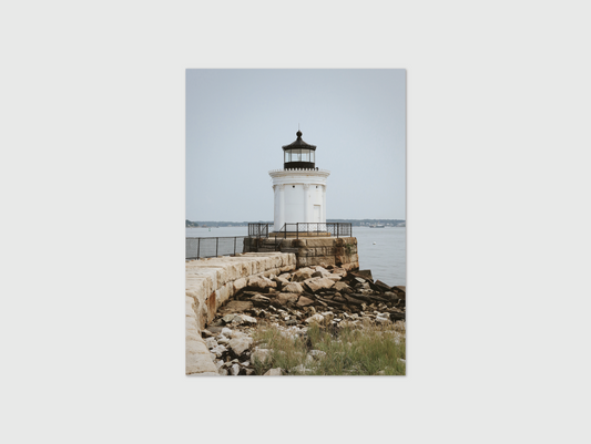 Bug Light