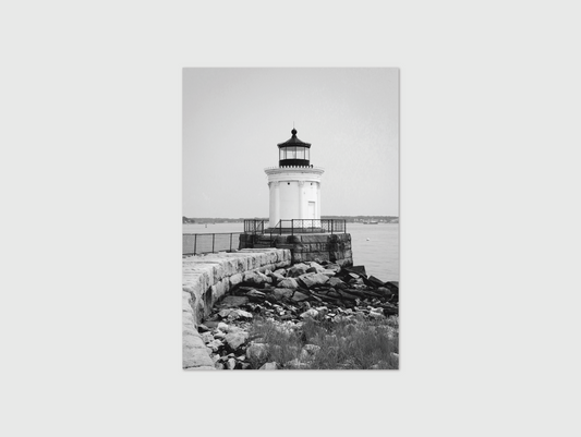 Bug Light B&W
